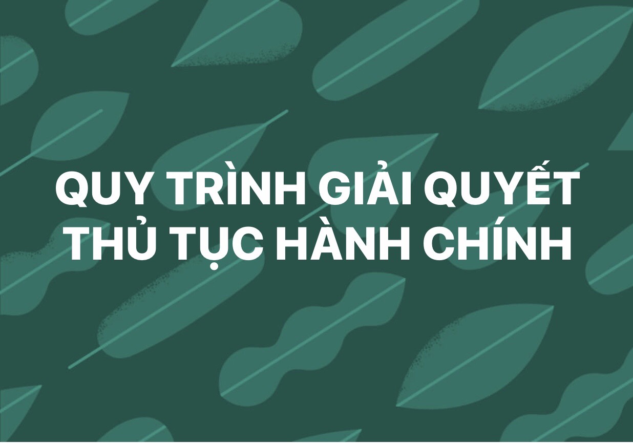 Quy trình giải quyết thủ tục hành chính PĐT