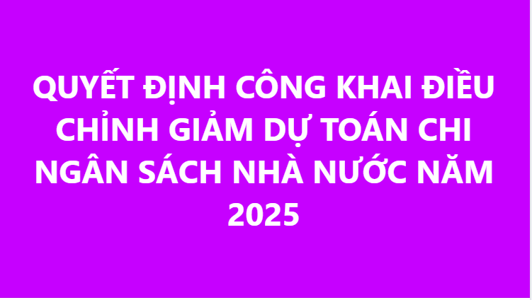 QUYẾT ĐỊNH CÔNG KHAI ĐIỀU CHỈNH GIẢM DỰ TOÁN CHI NGÂN SÁCH NHÀ NƯỚC NĂM 2025