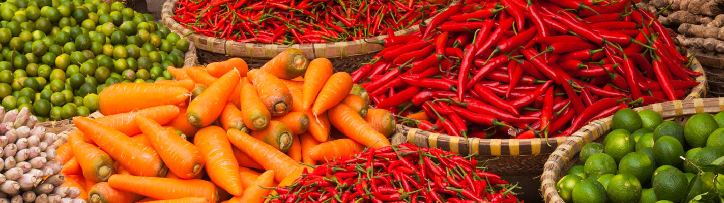 Áp dụng công nghệ trong công ty du lịch